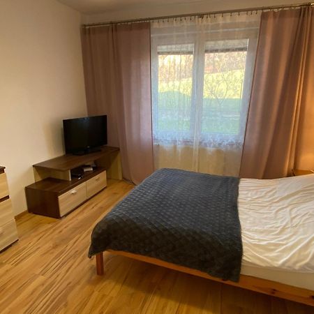 Apartament Zacisze Ustroń Εξωτερικό φωτογραφία