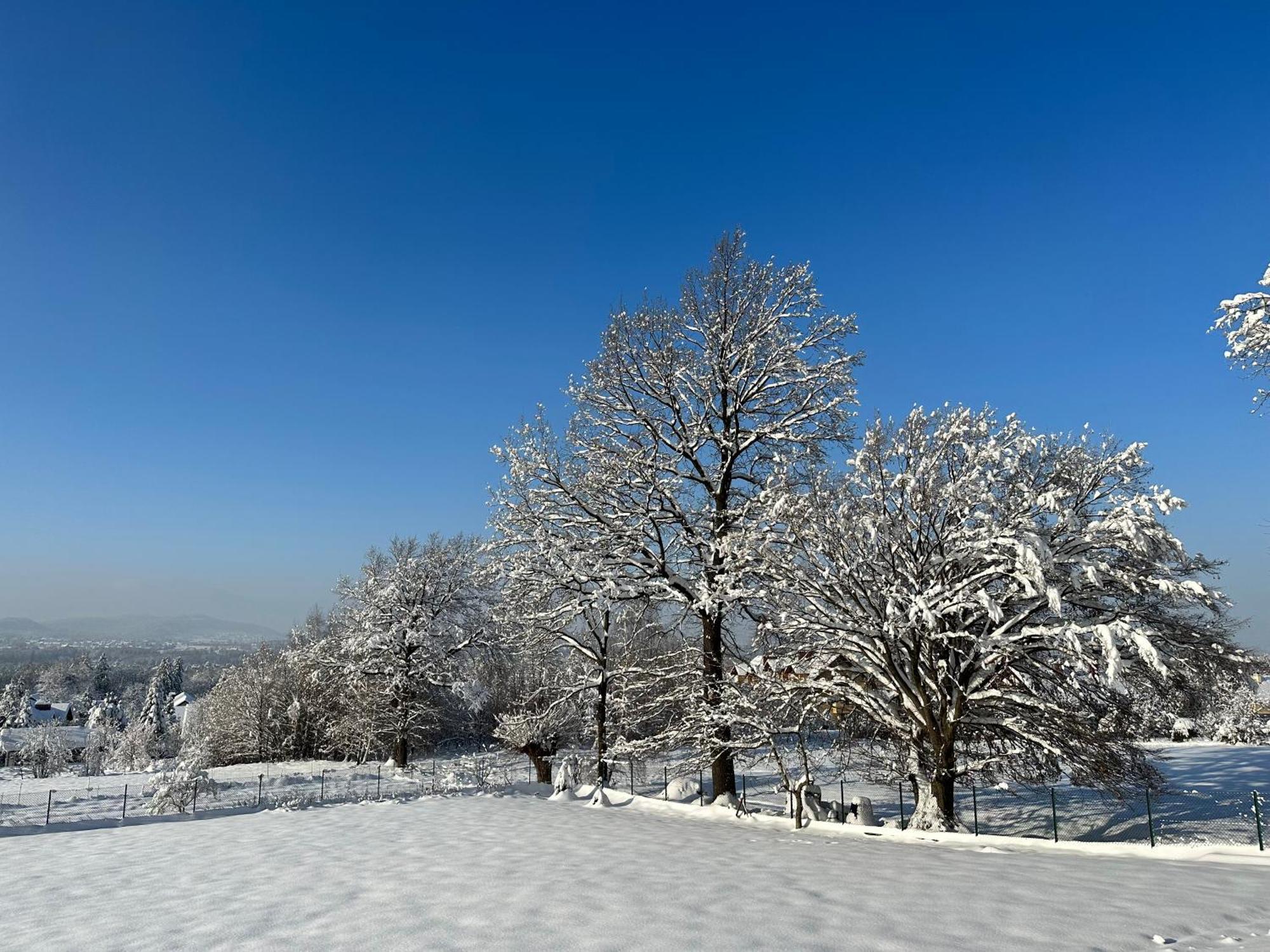 Apartament Zacisze Ustroń Εξωτερικό φωτογραφία