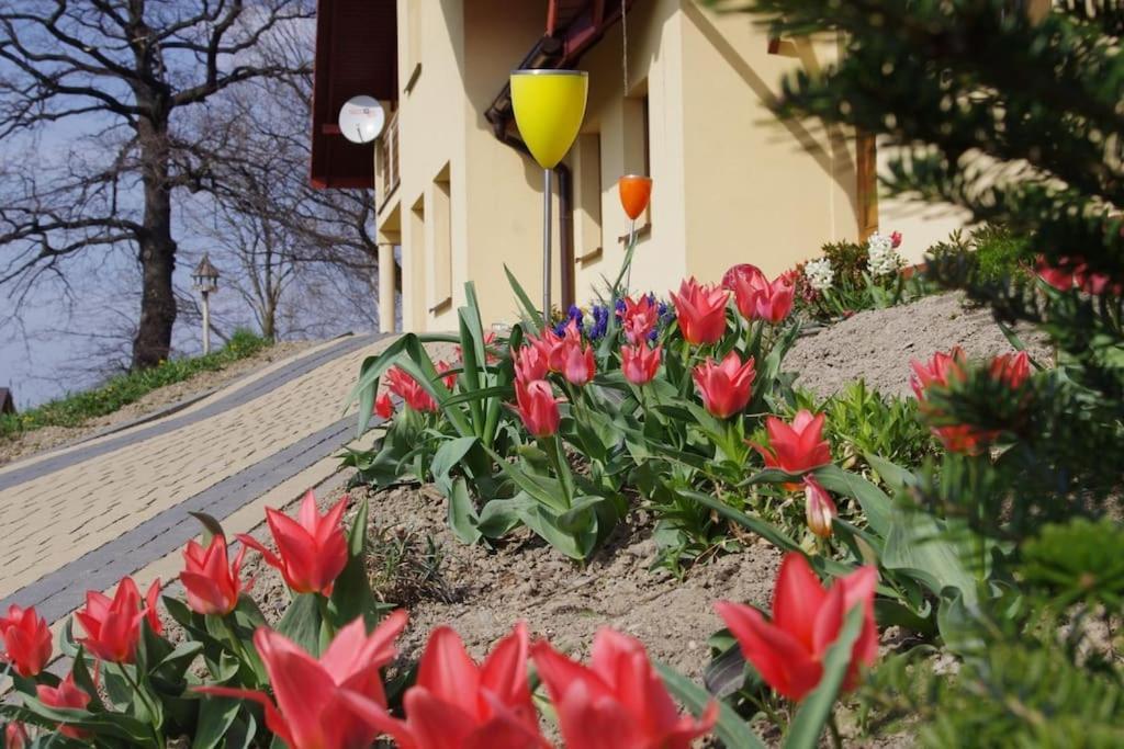 Apartament Zacisze Ustroń Εξωτερικό φωτογραφία
