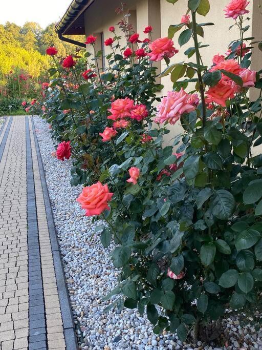 Apartament Zacisze Ustroń Εξωτερικό φωτογραφία